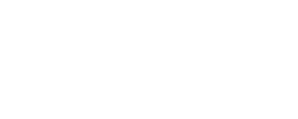 Logo-Akemi-Consulting